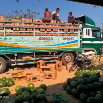 တရုတ်နိုင်ငံသို့ မိုးဖရဲသီးအနည်းငယ်သာ တင်ပို့မှုရှိပြီး လာမည့် သစ်သီးရာသီကုန်သွယ်မှု အခြေအနေ ခန့်မှန်းရခက်