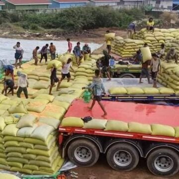 ထိုင်းနိုင်ငံသို့ ပြောင်းပြန်လည်တင်ပို့ချိန် ယခင်နှစ်ထက် ပြောင်းဈေး ၁၇ ရာခိုင်နှုန်းအထိ မြင့်တက်လာ ပြီးတောင်သူများစျေးကောင်းရရှိနေ