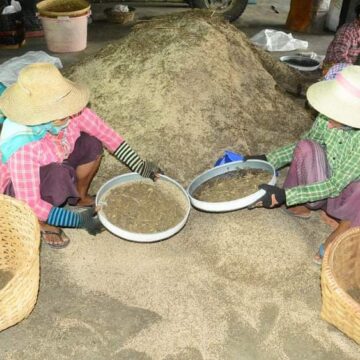 ပြည်တွင်းဒေါ်လာဈေးနှင့် ပို့ကုန်မှုဝါဒအပြောင်းအလဲ ကိုစောင့်ကြည့်နေတာကြောင့် အရောင်းအဝယ်အေးသွားသော်လည်း မြေပဲဆန်ဈေးစံချိန်တင်မြင့်တက်နေ