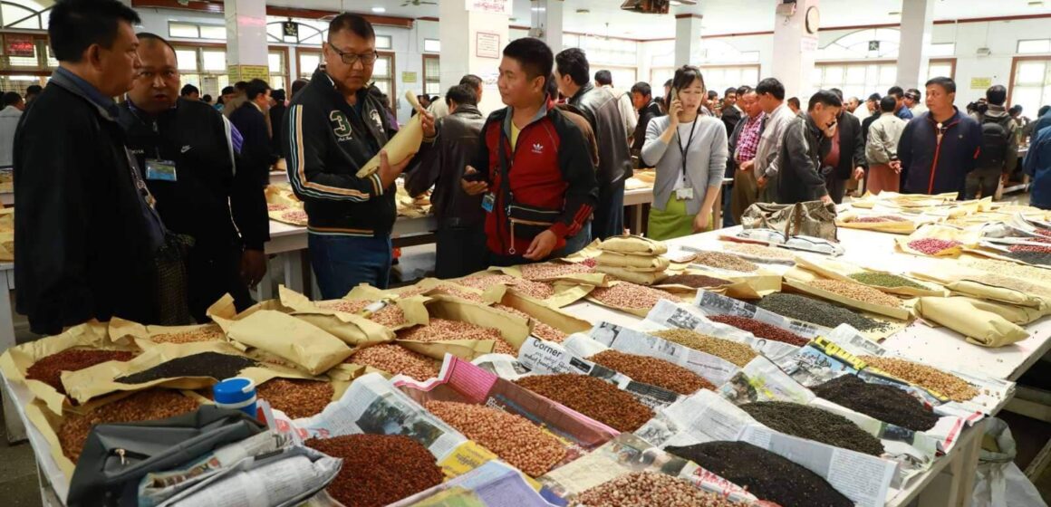 ဆောင်းသီးနှံစိုက်ပျိုးရာသီတွင် မျိုးပဲများ မန္တလေးဈေးကွက်အတွင်း အရောင်းအဝယ်သွက်နေ