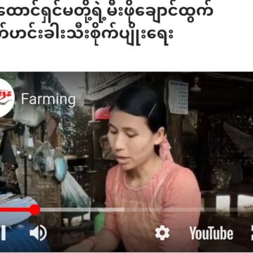 အိမ်ထောင်ရှင်မတို့ရဲ့မီးဖိုချောင်ထွက်ကြက်ဟင်းခါးသီးစိုက်ပျိုးရေး