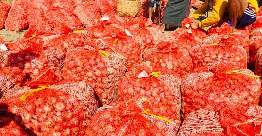 ကြက်သွန်နီအသစ်များ ပေါ်နေပြီဖြစ်၍ ကြက်သွန်ဈေးကွက် အငြိမ်ပိုင်းတွင် ရှိနေ