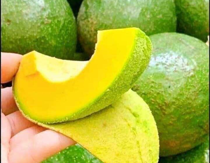 ပြည်တွင်းဈေးကွက်တွင် ထောပတ်သီအကျဘက်ရောက်ရှိနေ