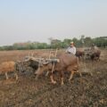 မန္တလေးတိုင်းဒေသကြီးတွင် နေရာကွက်ကျားနင့် နေရာကျဲကျဲ မိုးရွာသွန်းနိုင်ပြီး မုန်တိုင်းဖြစ်ပေါ်နိုင်မှု အခြေအနေမရှိသေးဟုဆို